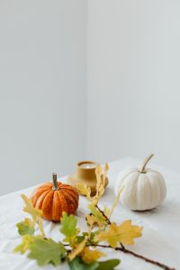 Kaboompics - Pumpkins - candle - oak leaves