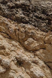 Kaboompics - Pale Stone Surface with Jagged Layers and Dark Crevices