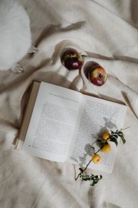 Kaboompics - Open Book With Yellow Flowers on Beige Blanket