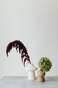 Kaboompics - Green Hydrangea and Amaranthus Still Life