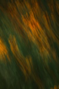 Kaboompics - Abstract Orange Floral Motion Blur