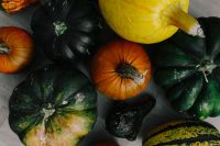 Kaboompics - Green and Orange Pumpkin Flat Lay