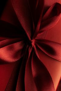 Kaboompics - Close Up Ribbed Ribbon Bow on Red Present