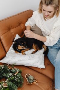 Kaboompics - Woman with Small Dog on Cozy Sofa at Christmas