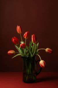 Kaboompics - Red Tulip Arrangement in Black Glass Vase, Moody Still Life Styling