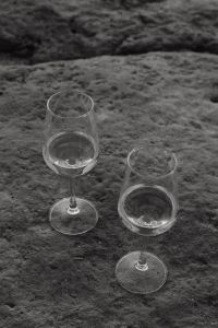 Kaboompics - Monochrome Pair of Wine Glasses on Dark Coastal Stone