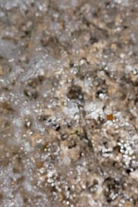 Kaboompics - Defocused Coastal Stones and Sparkling Seawater Background
