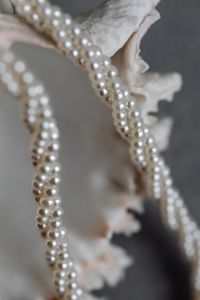 Kaboompics - Vertical Macro of Pearl Necklace Strands Draped Across a Textured Seashell