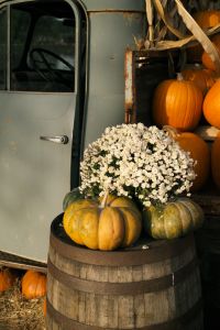 Kaboompics - Heirloom Pumpkins and Chrysanthemums Beside a Vintage Truck