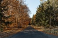 Kaboompics - Empty Country Road Through Colorful Autumn Woodland