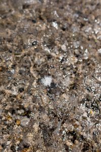 Kaboompics - Sunlit Seawater Bokeh over Wet Pebbles