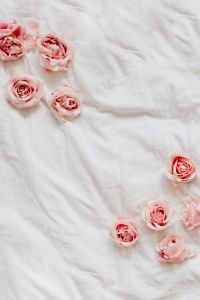 Kaboompics - Pink Roses Framing White Bedding, Vertical Romantic Background for Valentine’s Day
