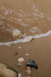Kaboompics - Shells On Wet Sand With Foamy Shoreline