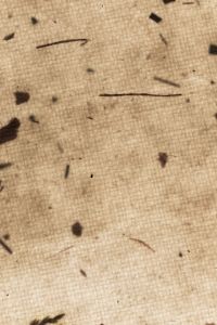 Kaboompics - Minimal Warm Paper Texture Background