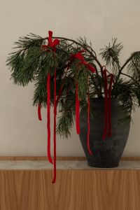 Kaboompics - Pine Branches and Red Ribbons in Black Vase on Wooden Console