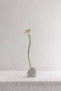 Kaboompics - White Gerbera in a Marble Stone Holder