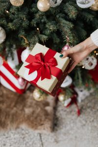 Kaboompics - Hand Holding a Red and Gold Gift by the Christmas Tree