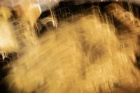 Kaboompics - Golden Motion Blur with a Wide Black Band, Abstract Background with Copy Space