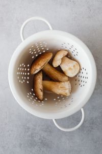 Kaboompics - Boletus Mushrooms in White Colander on Gray Background