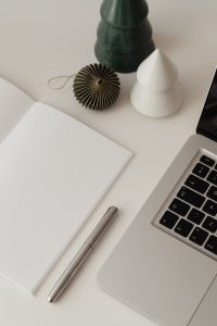 Kaboompics - Decorative Green Tree and Laptop on Minimal White Desk