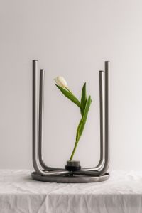 Kaboompics - White Tulip in a Metal Sculpture Holder
