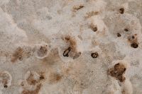 Kaboompics - Light Beige Stone Background with Pitted Texture and Dark Inclusions
