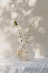 Queen Anne's Lace - Bright and warm free backgrounds or wallpapers