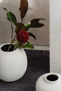 Kaboompics - Red Chrysanthemum with Ceramic Vases and Dried Foliage