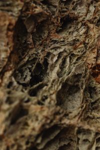 Nature-inspired backgrounds and wallpapers - A range of distinctive natural stone patterns