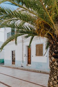 Kaboompics - Palm Tree Framing a Weathered White House and Wooden Door