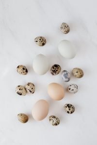 Quail Egg Still Life Photography for Easter: Speckled Eggs, White Marble and Eucalyptus Styling