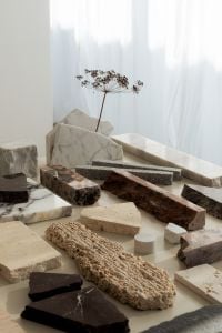 Kaboompics - Stone Material Swatches and Dried Botanical with Copy Space