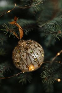 Kaboompics - Glittering Gold Christmas Bauble among Dark Tree Branches