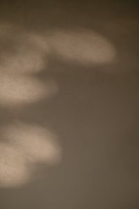 Kaboompics - Subtle Window Light on Beige Wall