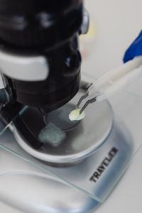 Kaboompics - Close-Up of Microscope for STEM Education
