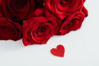 Kaboompics - Red Rose Petals and Felt Heart on White Surface for Valentine's Day