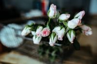 Kaboompics - Pink flowers in a metal basket