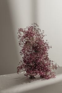 Kaboompics - Delicate Pink Dried Flower Arrangement in Soft Light