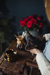 Kaboompics - Side View of a Woman Cuddling a Small Dog beside Chemex Coffee and Red Roses