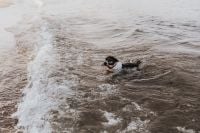 Kaboompics - Dog in the water
