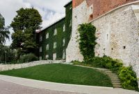 Kaboompics - Historic Stone Wall and Ivy in Krakow, Poland