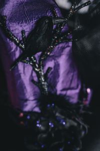 Kaboompics - Halloween witch hat in fiolet color