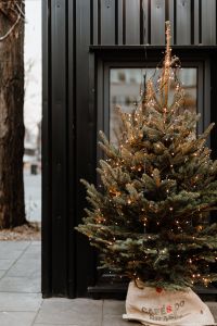 Kaboompics - Christmas tree with lamps in front of the black cabin