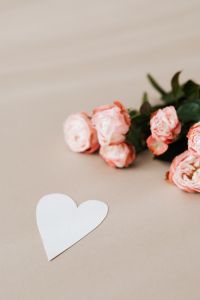 Kaboompics - Blush Pink Roses with a White Paper Heart on Beige