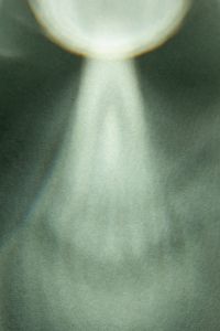 Kaboompics - Green Light and Shadow Background for Creative Moodboards