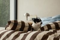 Kaboompics - Small Dog Relaxing on Striped Bed in Cozy Bedroom