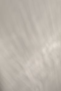 Kaboompics - Vertical Soft Light Shadows on White Wall Background