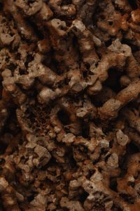 Kaboompics - Warm Brown Porous Rock with Irregular Holes, Macro Background Texture