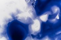 Kaboompics - Blue Ink Swirls and Bubble Accents on a White Liquid Background