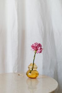 Kaboompics - Single Pink Carnation in Amber Glass Vase on Marble Table